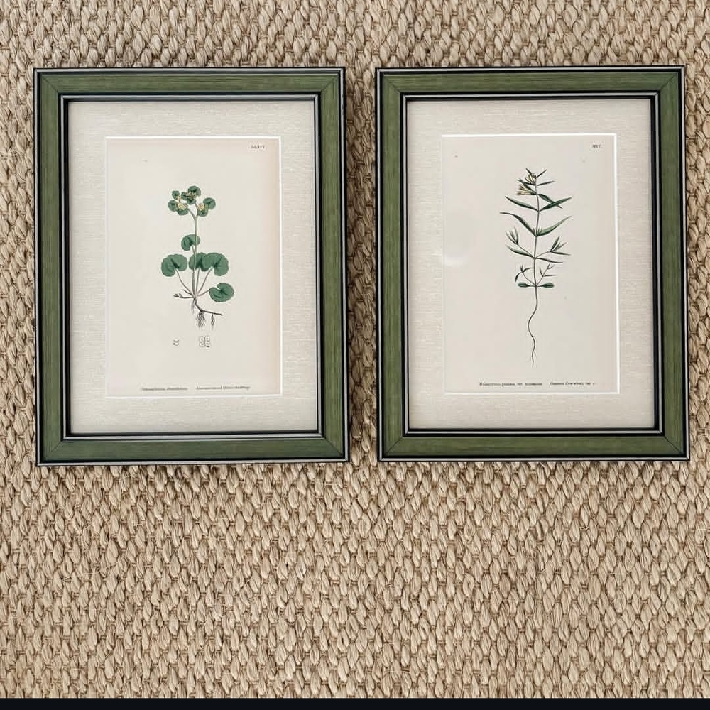 Green Framed Botanical Wall Art Set